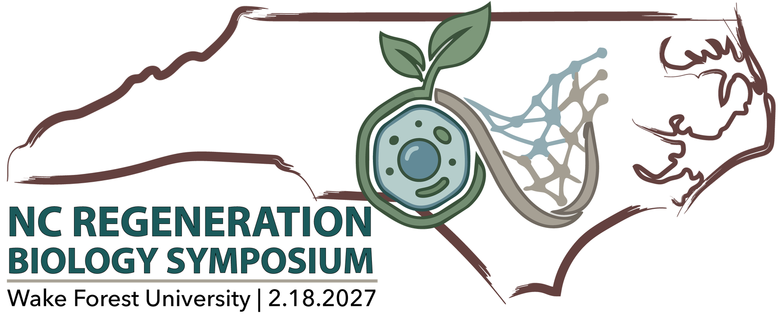 NC Regeneration Biology Symposium logo: a sprouting cell and an infinity loop of neural network inside an outline of North Carolina